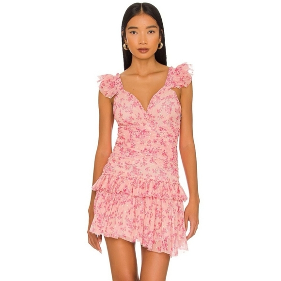NWT LoveShackFancy Roey Mini Ruffle Dress Size 8 Autumn Rose - Picture 12 of 13